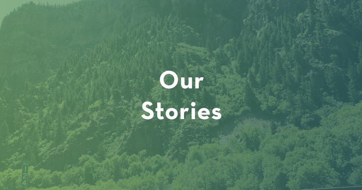 Our Stories