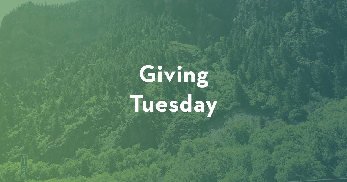 Green Image with white text Giving Tuesday