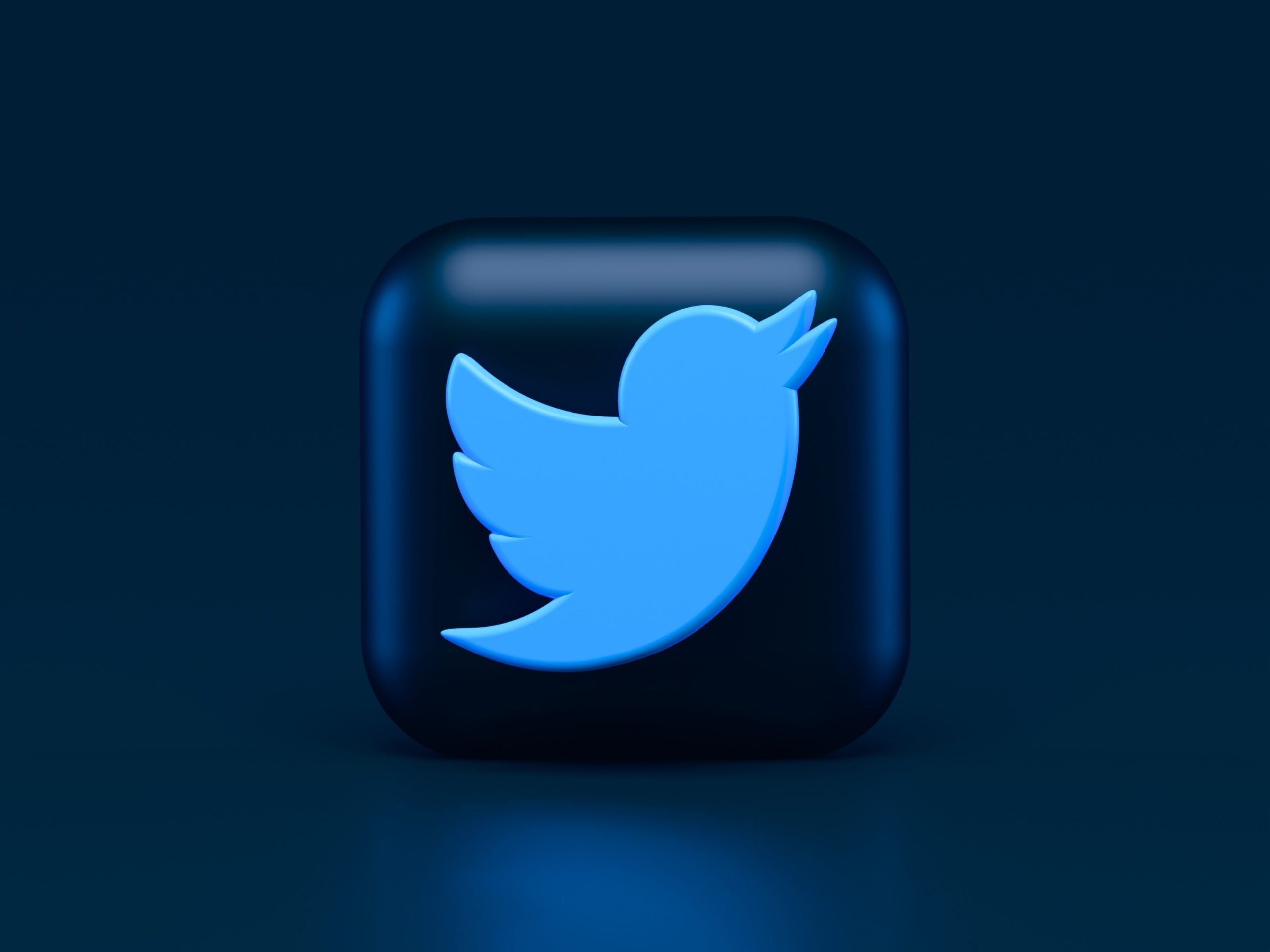 The recognizable blue Twitter bird