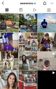 An Instagram grid of happy employees and their families and pets
